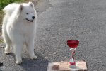 Meilleur Jeune Le Puy en Velay 2016